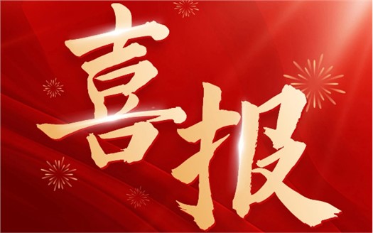 集团荣膺2025中国民营企业500强第249位，制造业民营企业500强第177位，排名较去年双双大幅提升