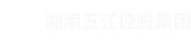 湖南HJC黄金城官网控股集团有限公司